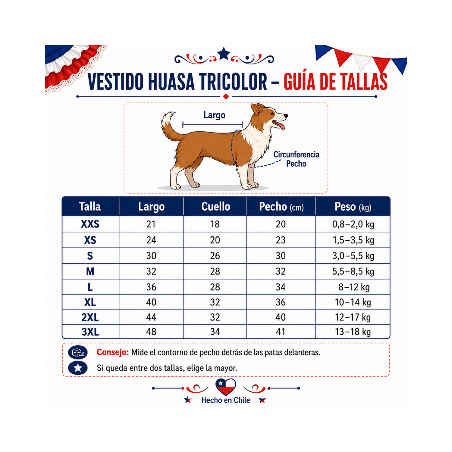 VESTIDO DE HUASA PARA PERRITA S - Imagen 3