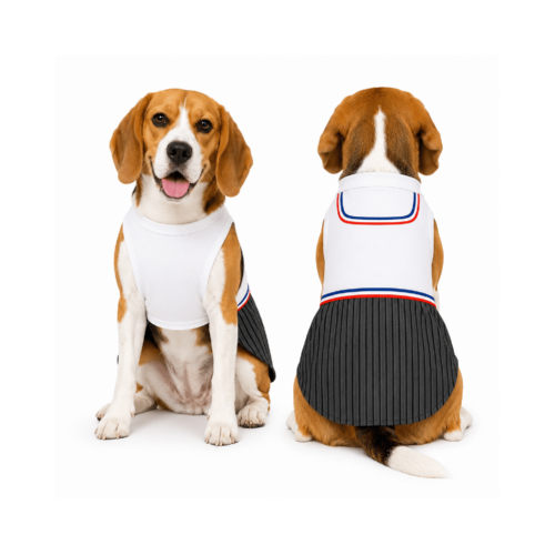 TRAJE DE HUASO PARA PERRITO L