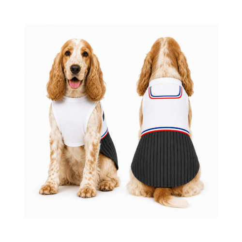 TRAJE DE HUASO PARA PERRITO XL