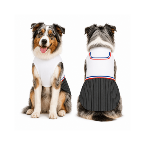 TRAJE DE HUASO PARA PERRITO 3XL