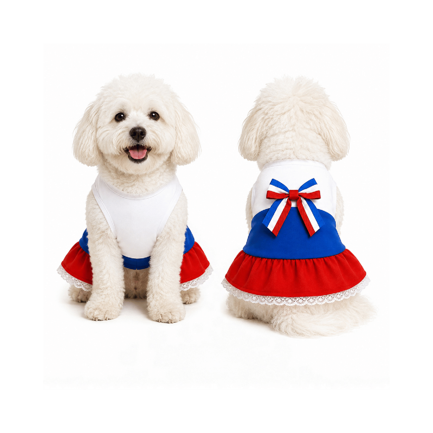 VESTIDO DE HUASA PARA PERRITA L