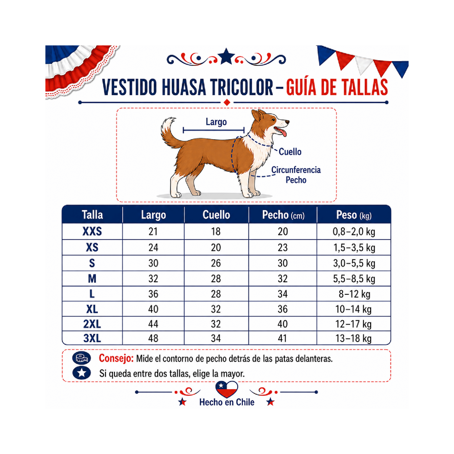 VESTIDO DE HUASA PARA PERRITA L - Imagen 3