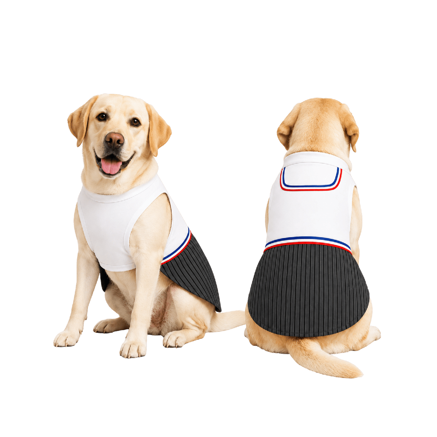 TRAJE DE HUASO PARA PERRITO 4XL