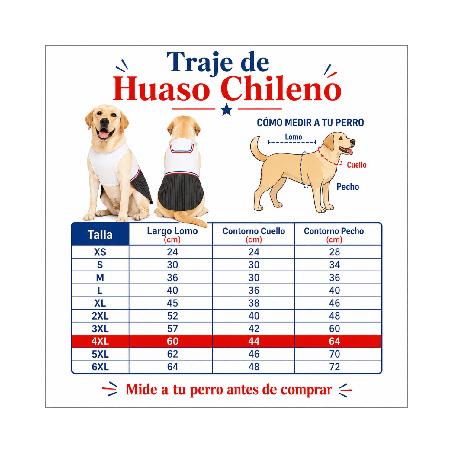 TRAJE DE HUASO PARA PERRITO 4XL - Imagen 3