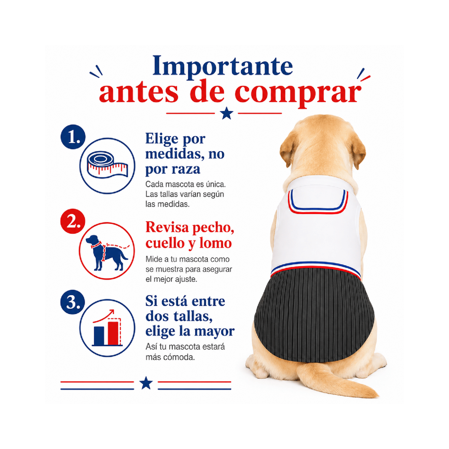 TRAJE DE HUASO PARA PERRITO 4XL - Imagen 4