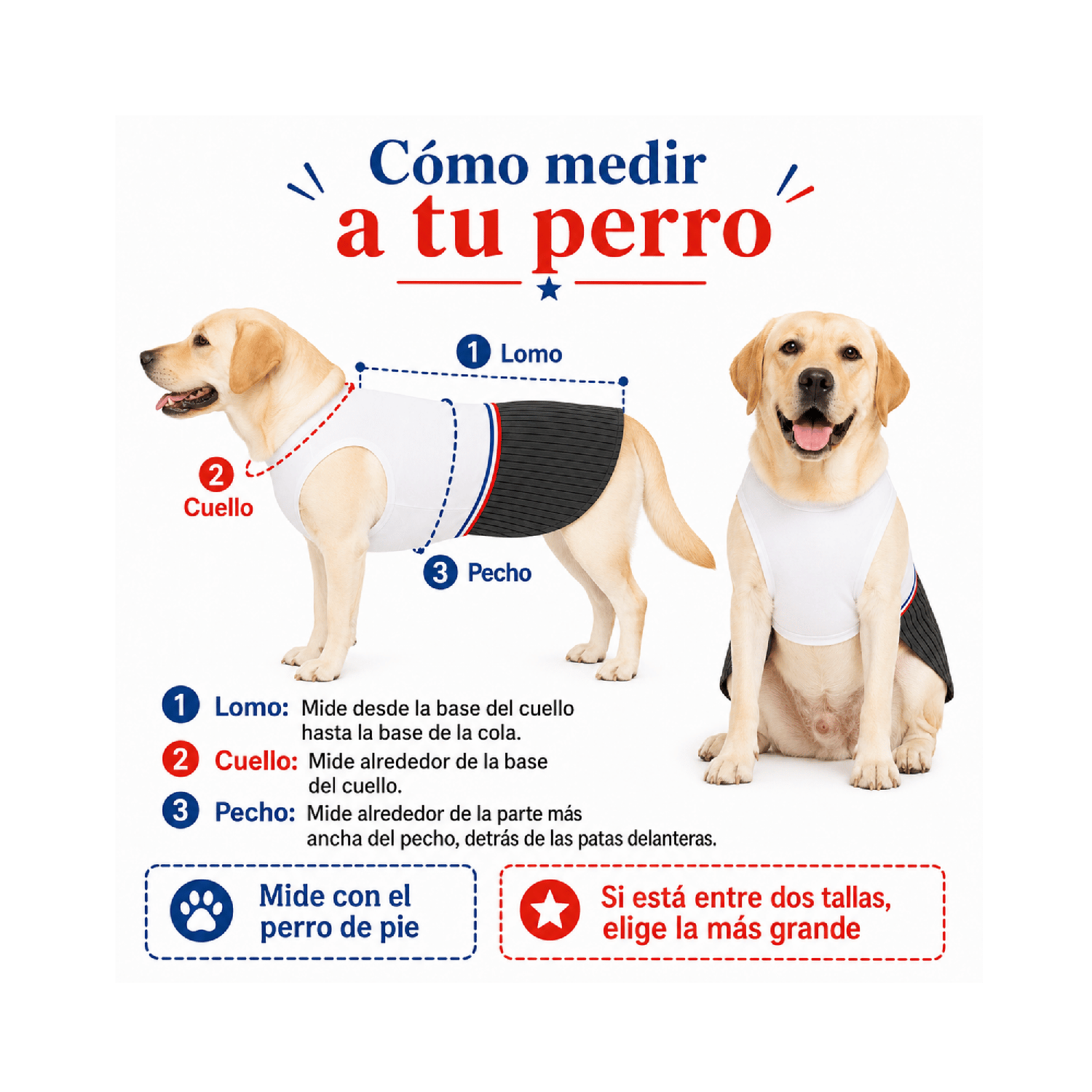 TRAJE DE HUASO PARA PERRITO 4XL - Imagen 6